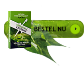 Bestel nu